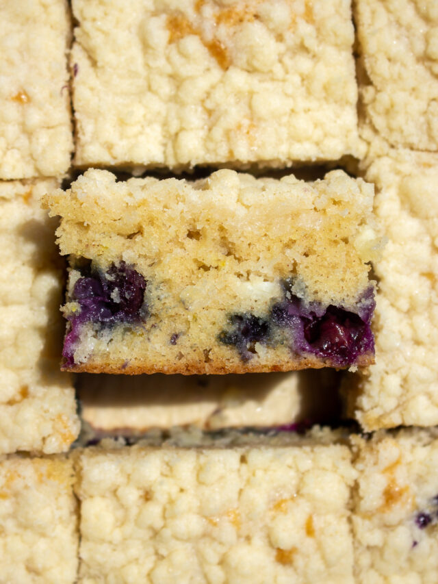 Blueberry Cottage Cheese Cake