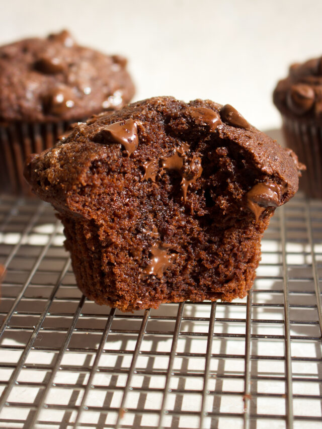 Applesauce Chocolate Muffins